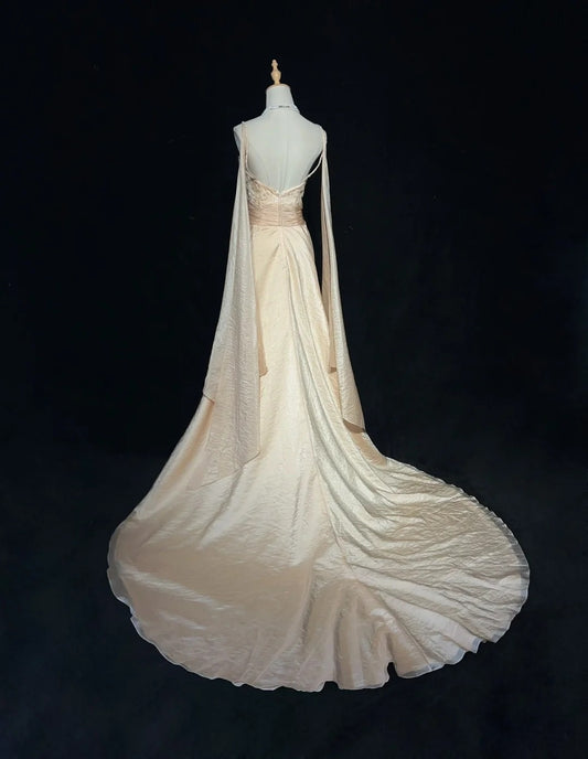 Vintage Prom Dresses A line Spaghetti Strap Champagne With Long Sleeves 90s Evening Gown N3001