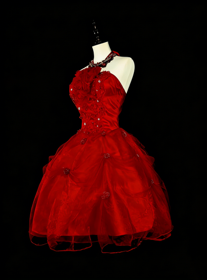 Unique Ball Gown Halter Tulle Red Inspo Vintage Fashion 2000s Hoco Gowns Short Inspo Homecoming Dresses N2019
