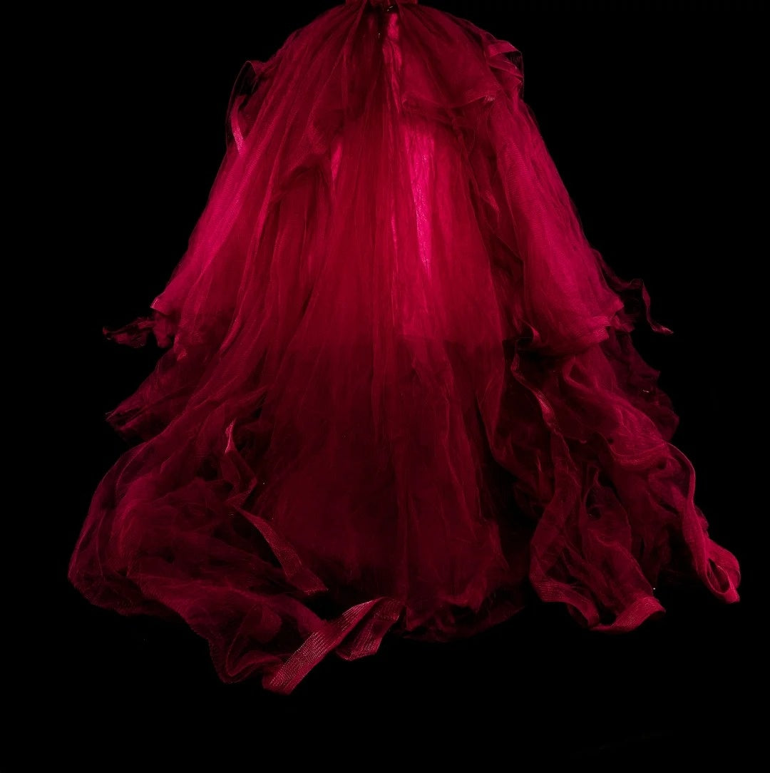 Elegant Ball Gown Spaghetti Strap Burgundy Tulle Inspiration Long Prom Dresses Sweet 16 Dress N1826