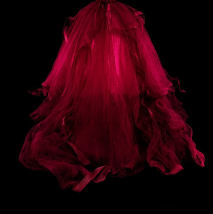 Elegant Ball Gown Spaghetti Strap Burgundy Tulle Inspiration Long Prom Dresses Sweet 16 Dress N1826