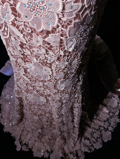 Vintage Prom Dresses Mermaid V Neck Pink Lace With 3d Flowers 1950s Long Formal Gown N2594