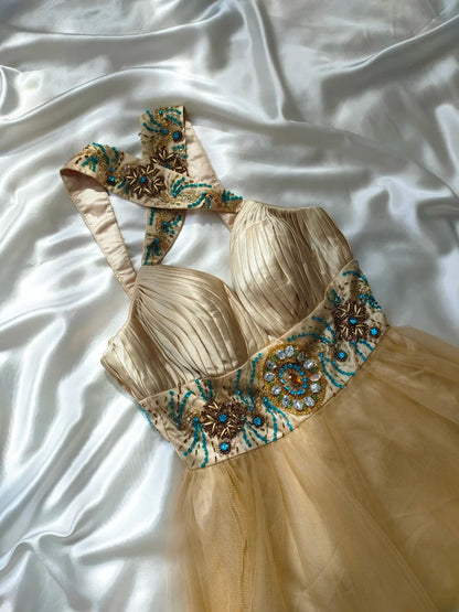 Vintage A line V Neck Champagne Tulle Hoco Gowns Short 16th Birthday Dress Homecoming Dresses Cocktail Gown AS029