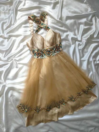 Vintage A line V Neck Champagne Tulle Hoco Gowns Short 16th Birthday Dress Homecoming Dresses Cocktail Gown AS029