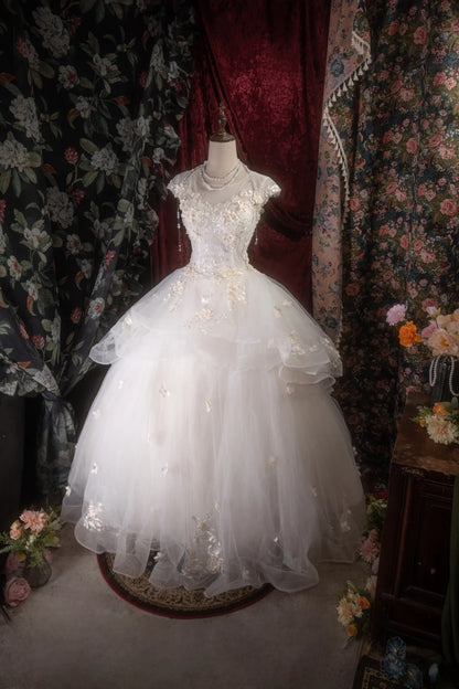 Dreamy Princess Ball Gown Formal Events Scoop With Appliqued Quince Dress Quinceanera Dresses Birthday Outfits RB8269