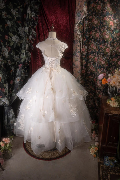 Dreamy Princess Ball Gown Formal Events Scoop With Appliqued Quince Dress Quinceanera Dresses Birthday Outfits RB8269