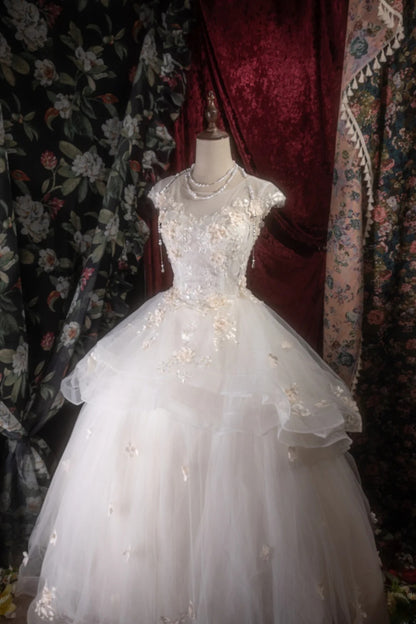 Dreamy Princess Ball Gown Formal Events Scoop With Appliqued Quince Dress Quinceanera Dresses Birthday Outfits RB8269