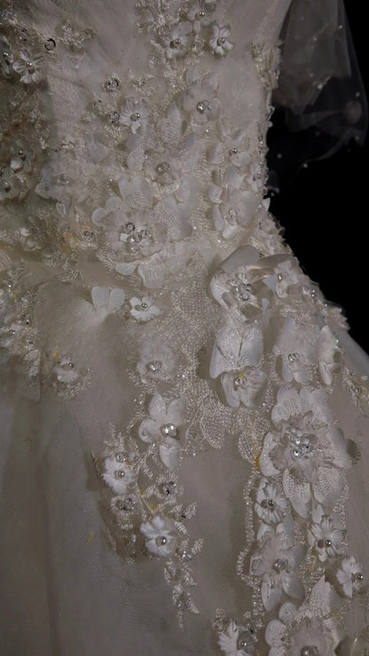 Vintage Wedding Dress Ball Gown V Neck Tulle Appliques White With Sleeves Bridal Gown for Big Day RB9919