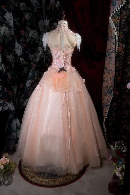 Chic Ball Gown High Neck Tulle Pink Long With Appliqued Flowers Quince Dress inspo Party Gowns Sweet 16 Outfits RB8294