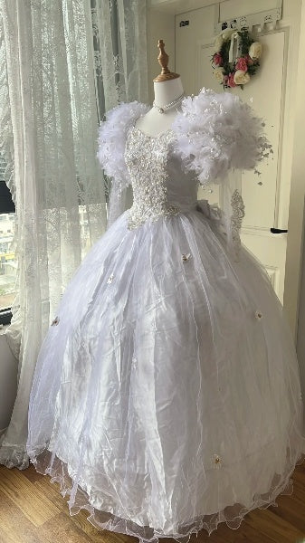 Sweet 15 Quinceanera Dress Ball Gown Lilac With Sleeves Tulle Long 15th Birthday Gown RC0529