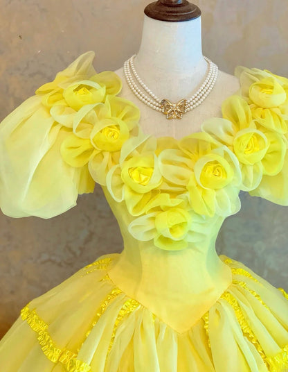 Quinceanera Dress Yellow V Neck With Flowers Floor Length Ball Gown Sweet 15 15th Birthday Gown RB9130