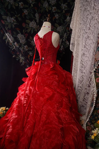 Elegant Formal Outfit for 15 Anos Photoshoot & Celebration Ball Gown Red Pageant Dress Photoshoot & Celebration RB8581
