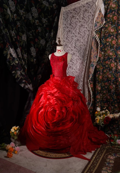 Elegant Formal Outfit for 15 Anos Photoshoot & Celebration Ball Gown Red Pageant Dress Photoshoot & Celebration RB8581