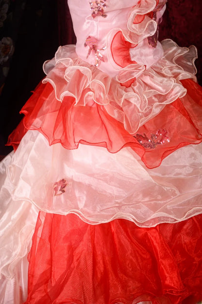 Elegant Formal Outfit for 15 Anos Photoshoot & Celebration Ball Gown Quinceañera Dresses Red For Pageant Dress RB8582