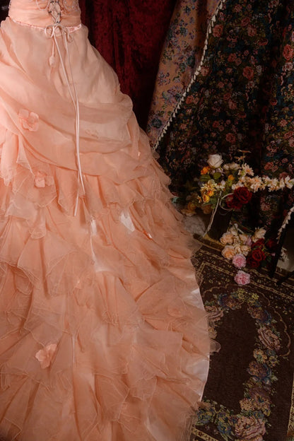 Elegant Ball Gown Strapless Blush Pink Quinceanera Dress Sweet 15 15 Anos Quinceañera Dresses For Pageant RB8584