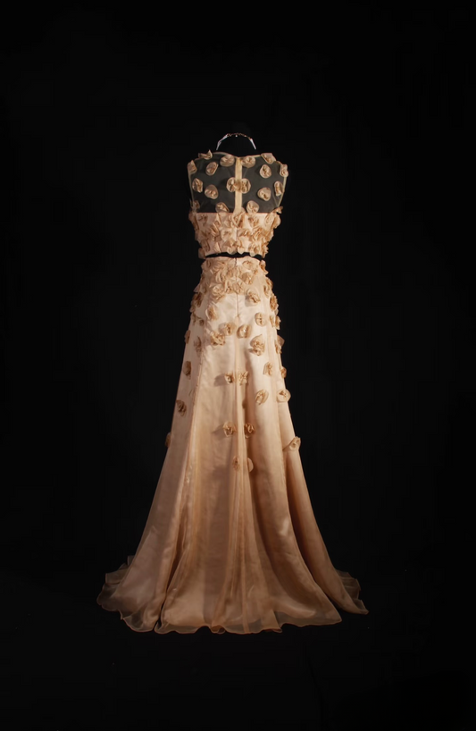 Retro Prom Dresses A Line 2 Pieces Gold Tulle Floral Vintage Long Prom Dresses Party Gowns AU029