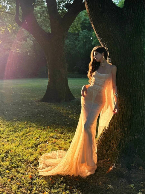 Vintage Mermaid Sweetheart Tulle Floor Length Prom Dresses Party Dress 21st Birthday Outfits Graduation Dress AU350