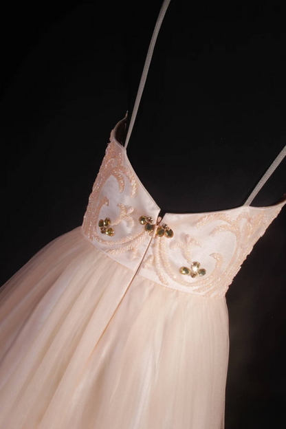 Retro Ball Gown Straps Blush Pink Tulle Floor Length Prom Dress Inspiration Long Prom Dresses AU528