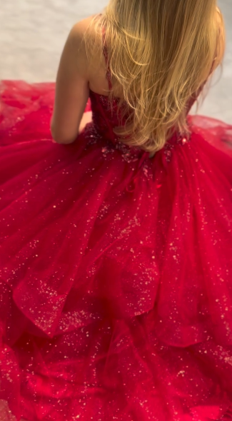 Stunning Ball Gown Spaghetti Straps Tulle Red Prom Dresses Party Dress Princess Graduation Dress B420