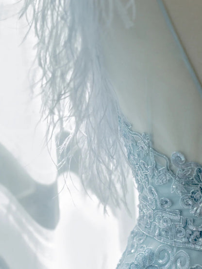 Beautiful Ball Gowns Scoop Blue Short With Feathers Graduation High School Party Homecoming Dresses N4471