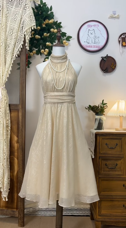 Vintage A Line Hater Champagne Senior Hoco Court High School Homecoming Dresses N4567