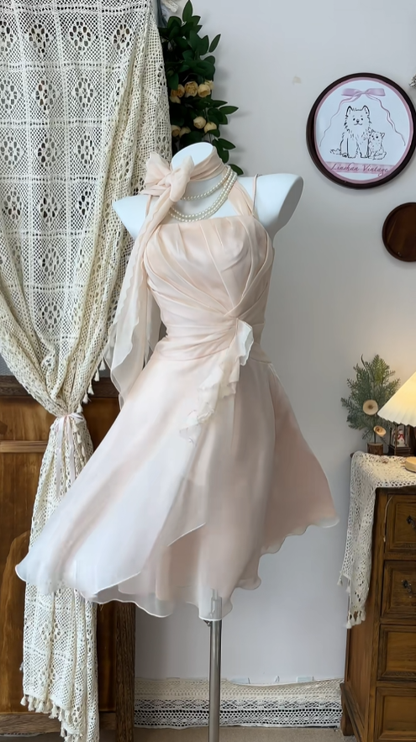 Elegant A line Halter Blush Pink Chiffon Dance Senior Short Inspo Formal Graduation Inspo Homecoming Dresses N4605