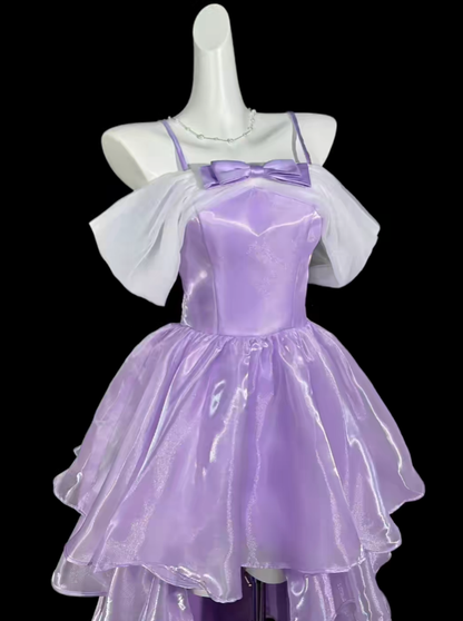 Cute High Low Spaghetti Straps Lilac University Ideas Homecoming Outfits Inspo Senior Hoco Court Dresses RB7028