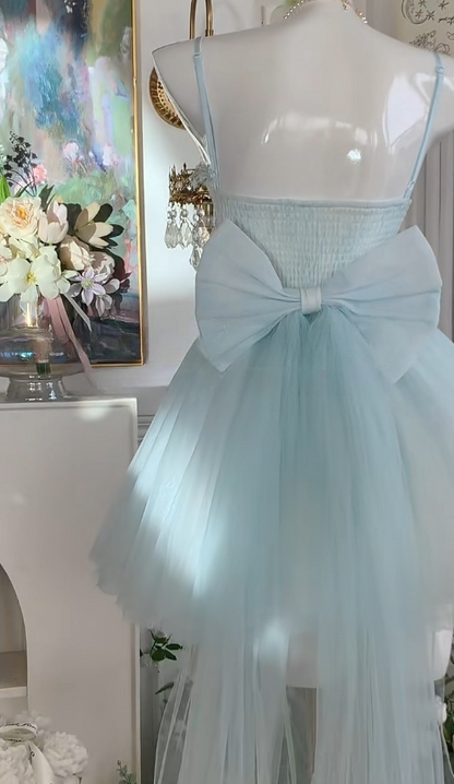 Fairytale Blue Spaghetti Straps A-Line Tulle Short Evening Dress with Appliques Sweet Homecoming Dress RF0962