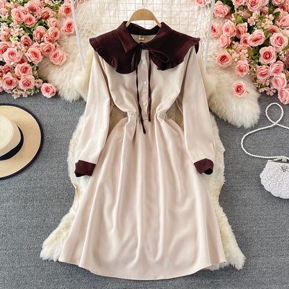 Cute A Line Long Sleeve Dress Spring And Autumn Dresses RF0354