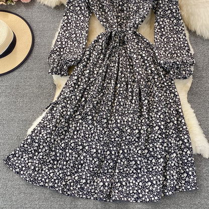 Sweet Long Sleeve Dress A Line Fashion Dress RF0301
