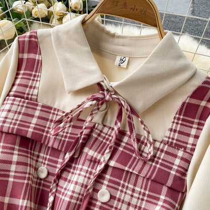 Cute Plaid Long Sleeve Dress Fashion Dress RF0291