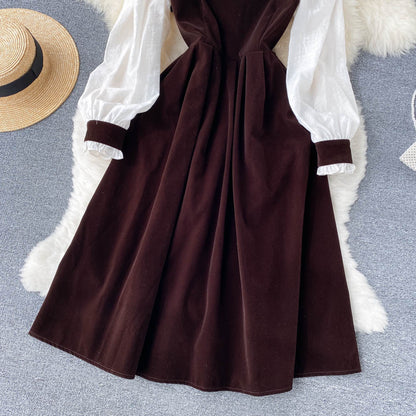 Cute Velvet Long Sleeve Dress A Line Fashion Dress RF0287