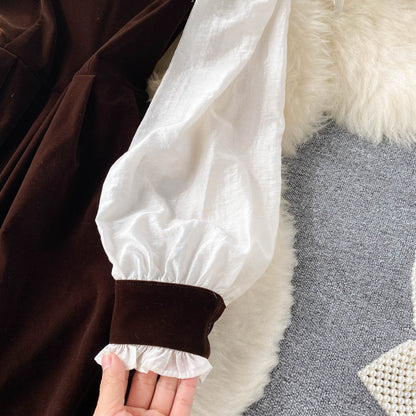 Cute Velvet Long Sleeve Dress A Line Fashion Dress RF0287