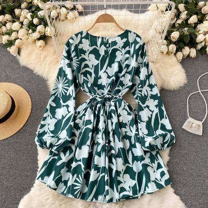 Sweater A Line Floral Dress A Line Long Sleeve Fashion Dress RF0283