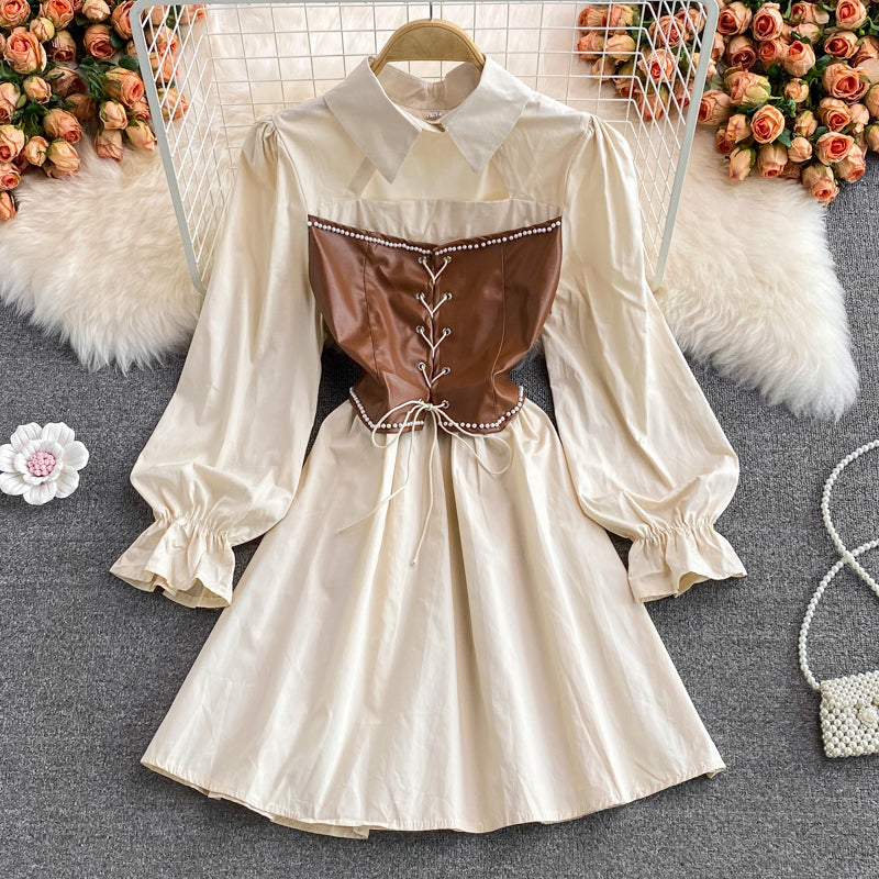 Chic A Line Long Sleeve Dress Fashion Dress RF0254