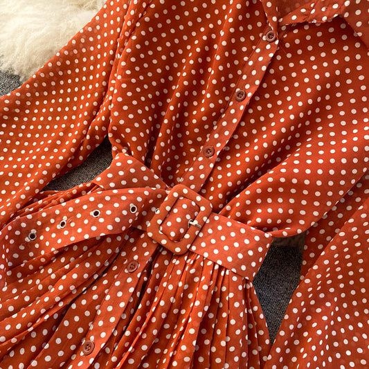 Fashionable A Line Polka Dot Long Sleeve Dress Fashion Dress RF0236