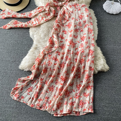 Cute Printed Two-piece Dress Fashion Dress RF0201